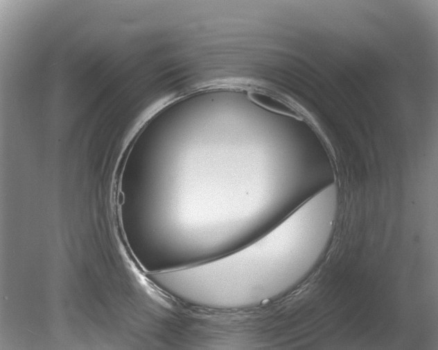 X0000078881050200611131049