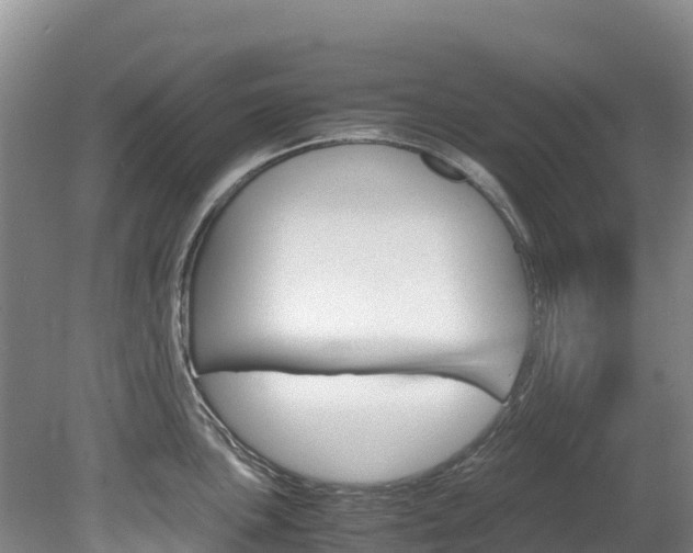X0000078881051200611131049