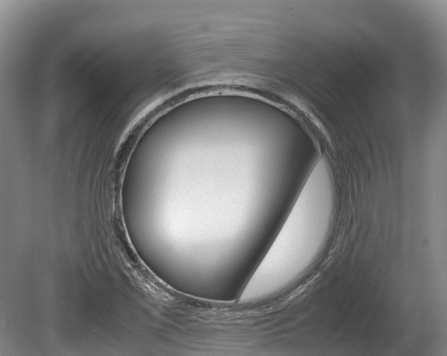 X0000078881069200611131048