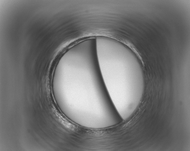 X0000078881072200611131048