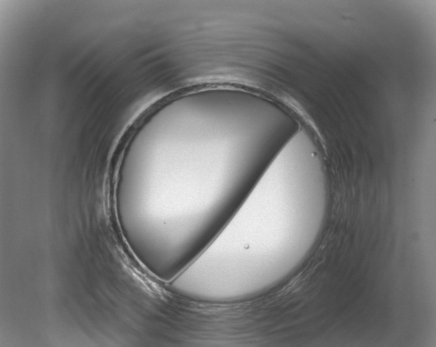 X0000078881076200611131048