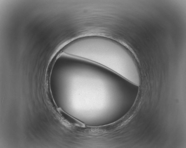 X0000078881077200611131048