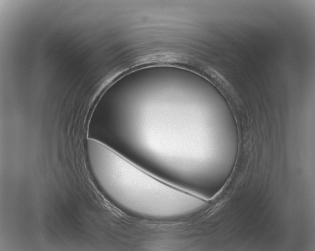 X0000078881081200611131048
