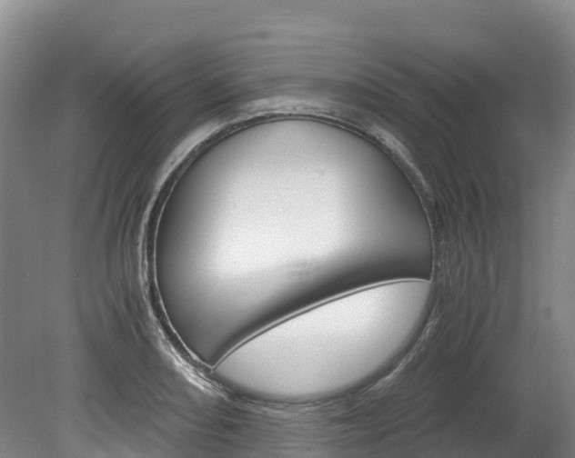 X0000078881082200611131048