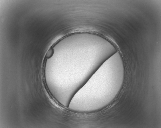X0000078881087200611131047