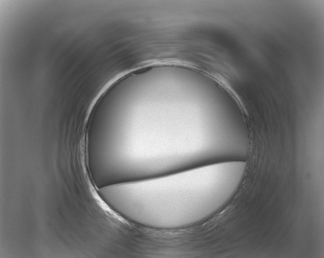 X0000078881100200611131047