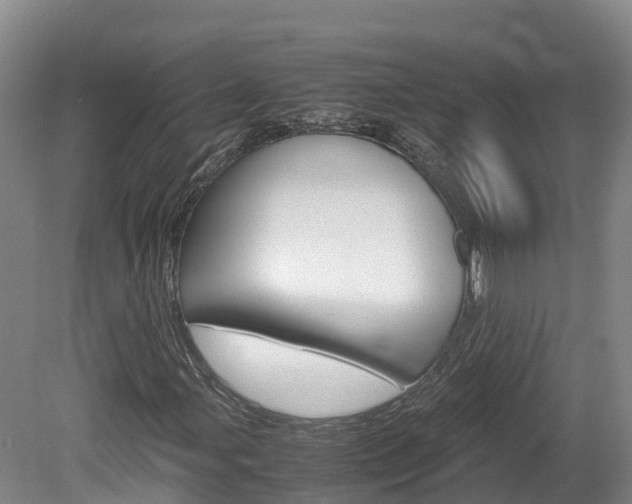 X0000078881107200611131046