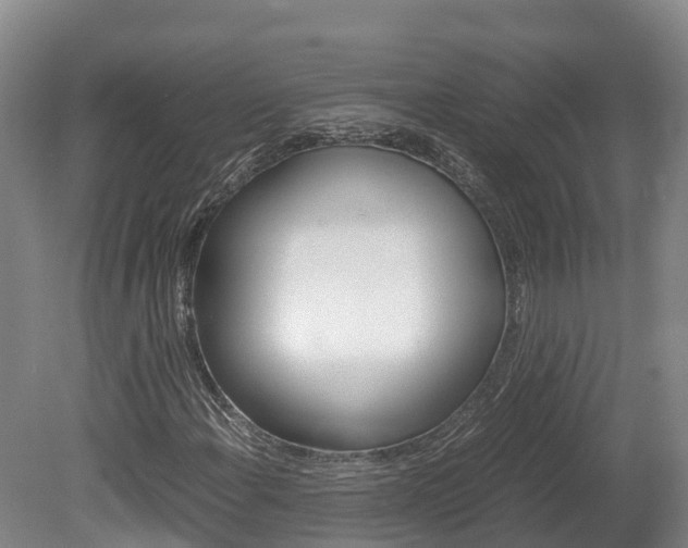 X0000078881108200611131046