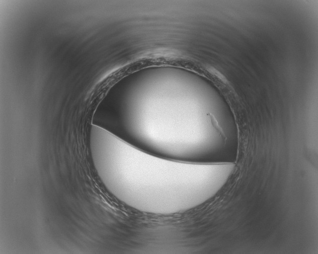 X0000078881112200611131046