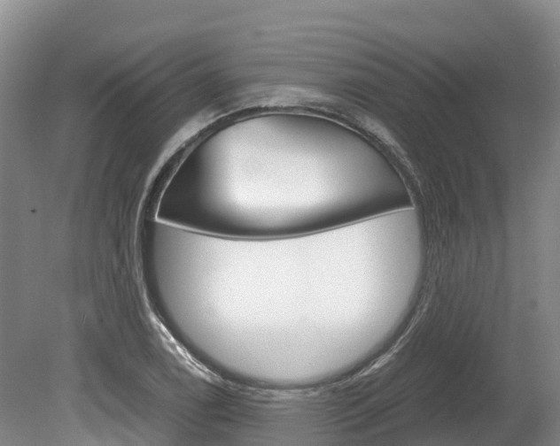 X0000078881122200611131047