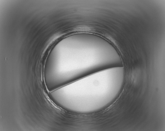 X0000078881123200611131047