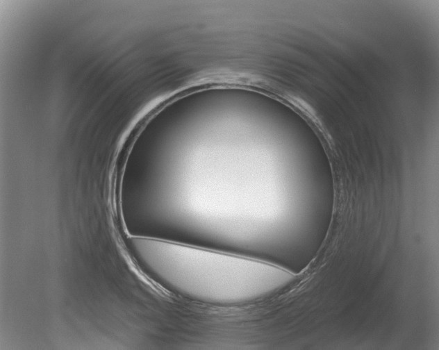 X0000078881128200611131047