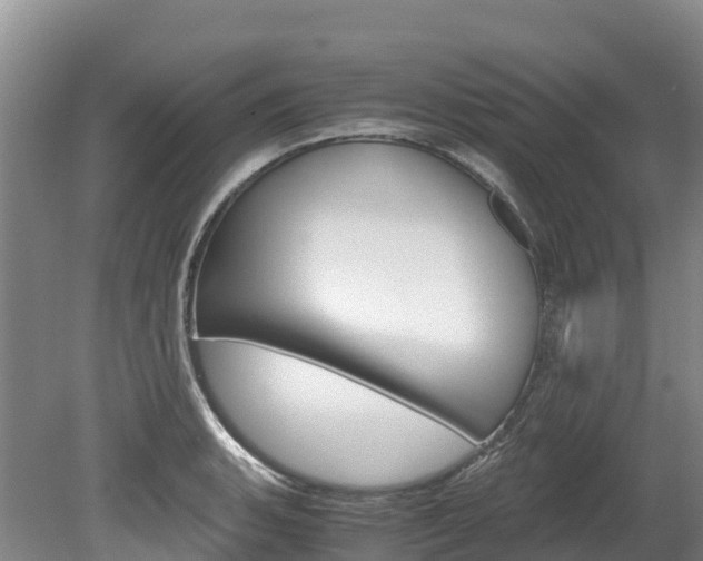 X0000078881135200611131047