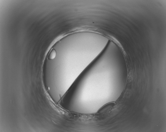 X0000078881146200611131047