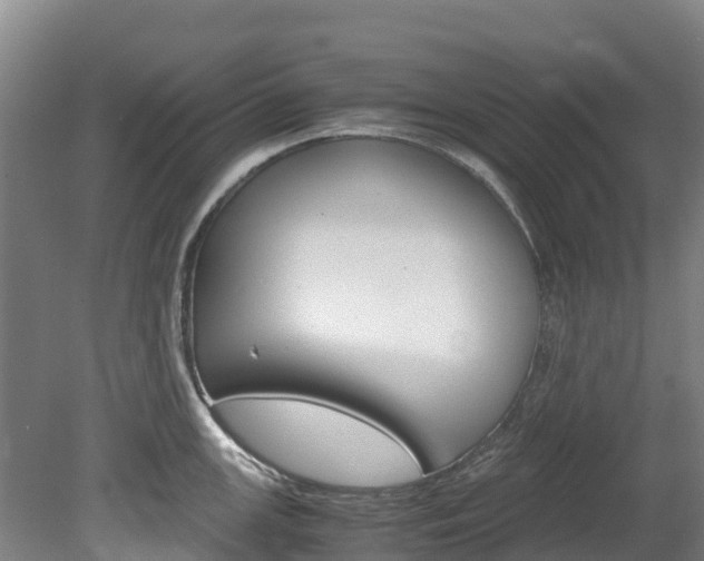 X0000078881147200611131047