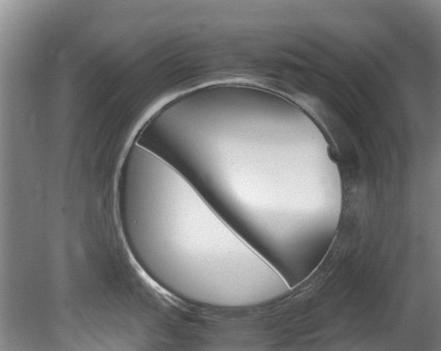 X0000078881151200611131047