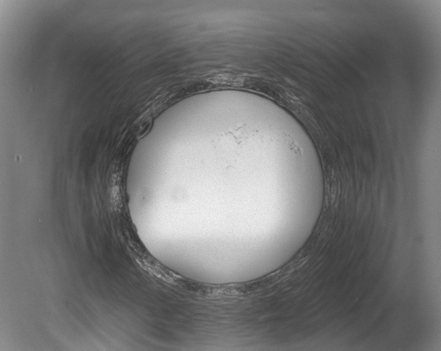X0000078881154200611131046