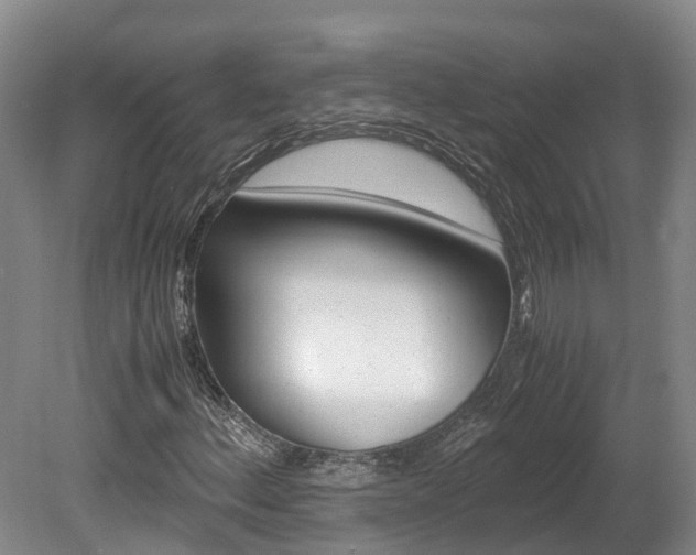 X0000078881156200611131046