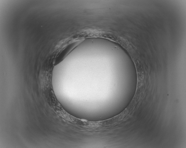 X0000078881157200611131046