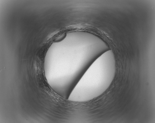 X0000078881158200611131046