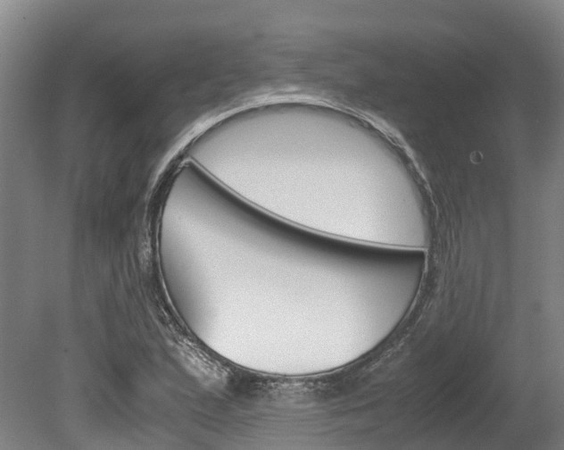 X0000078881167200611131046