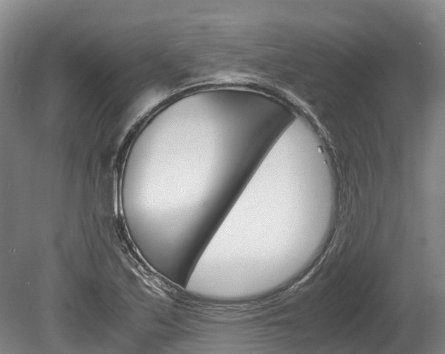X0000078881171200611131046