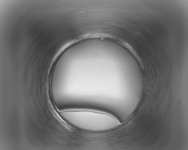 X0000078881187200611131046