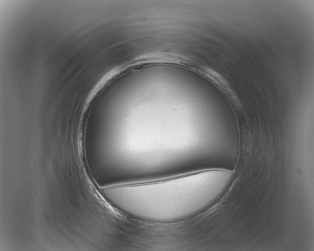 X0000078881188200611131046