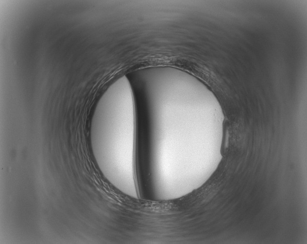 X0000078881201200611131045