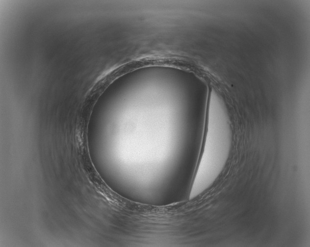 X0000078881206200611131045