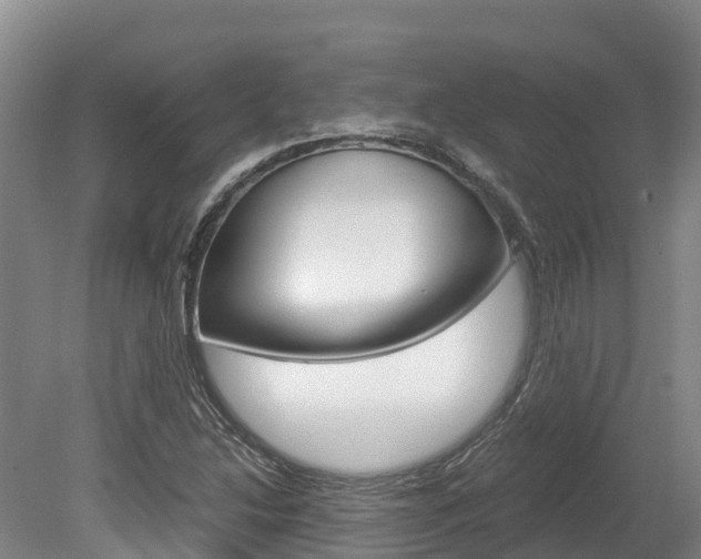 X0000078881214200611131045