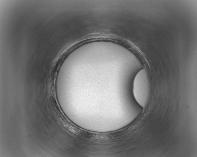 X0000078881215200611131045