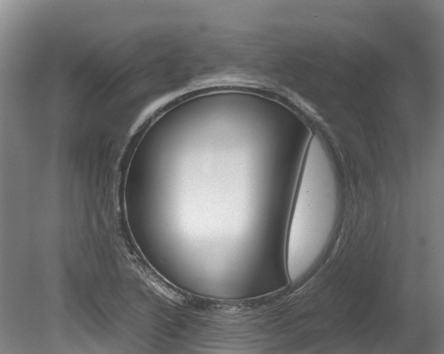 X0000078881222200611131045