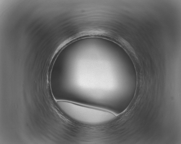X0000078881226200611131045