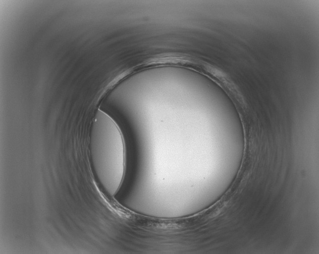X0000078881233200611131045