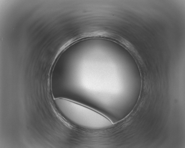 X0000078881234200611131045
