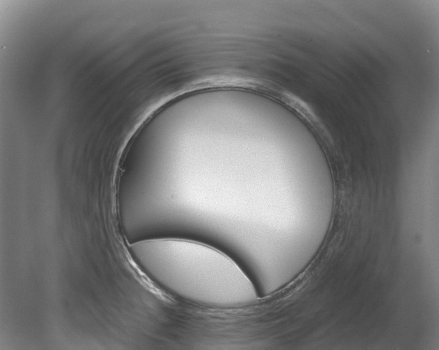 X0000078881236200611131045
