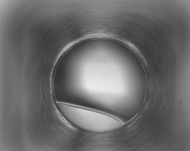 X0000078881238200611131045