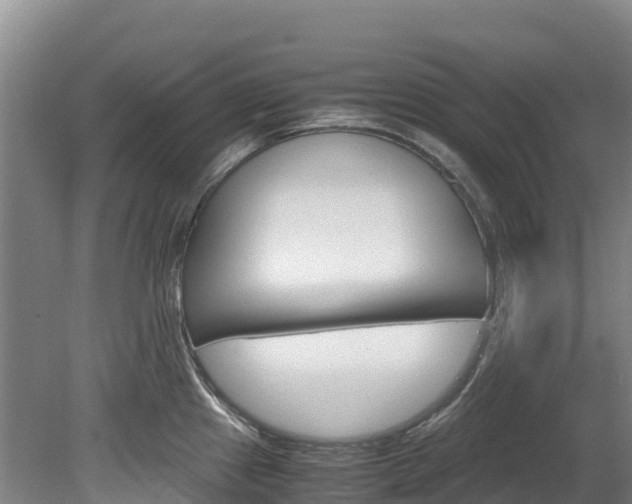 X0000078881241200611131045