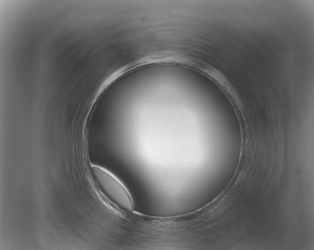 X0000078881242200611131045