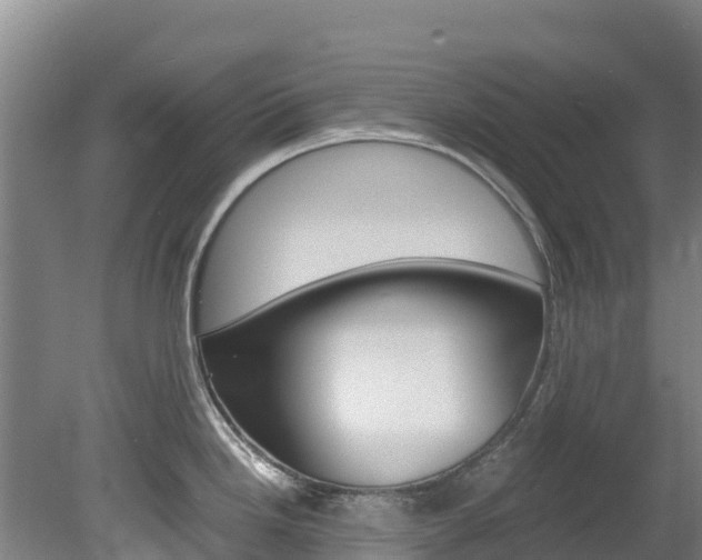 X0000078881246200611131046