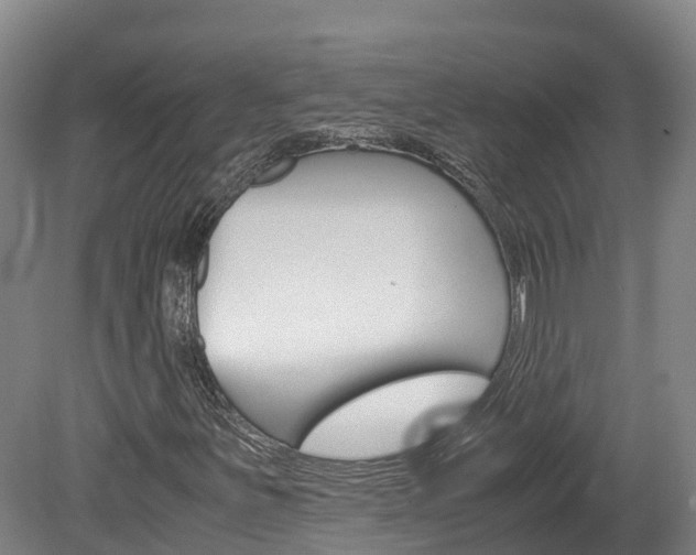 X0000078881251200611131045