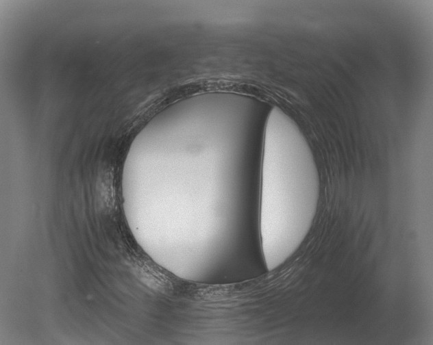 X0000078881252200611131045