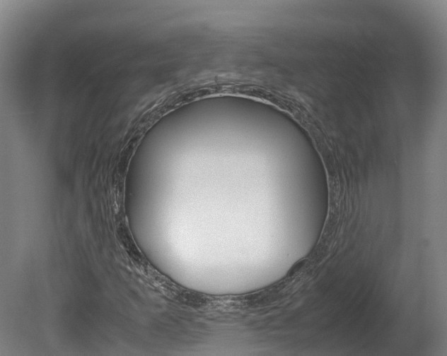 X0000078881253200611131045