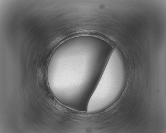 X0000078881257200611131045