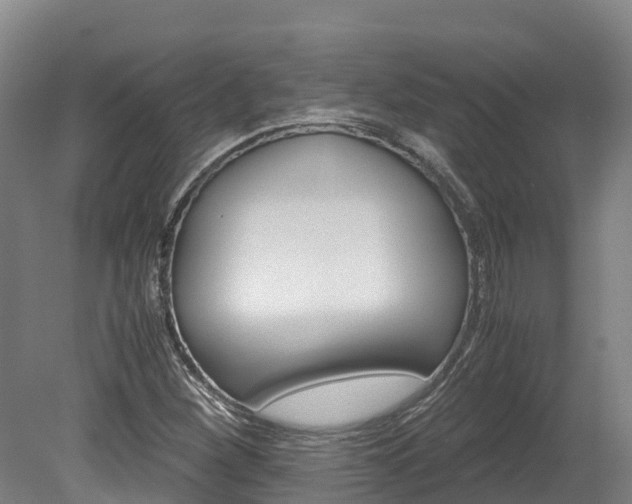 X0000078881260200611131045