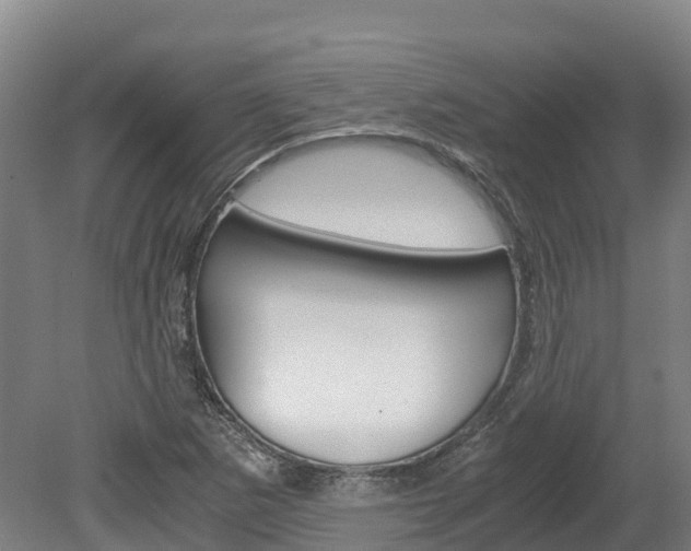X0000078881265200611131044