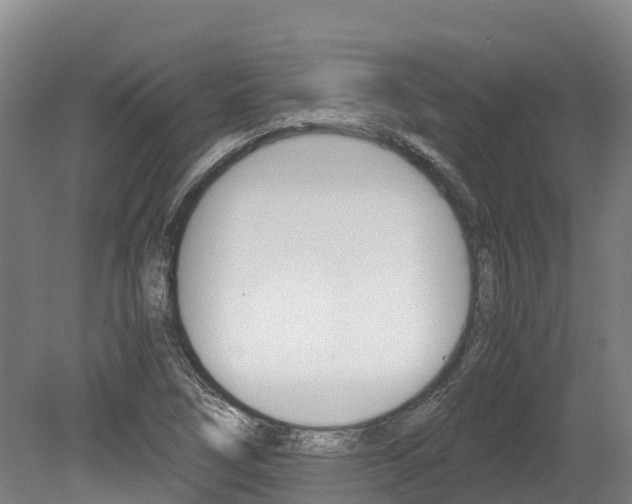 X0000078881266200611131044
