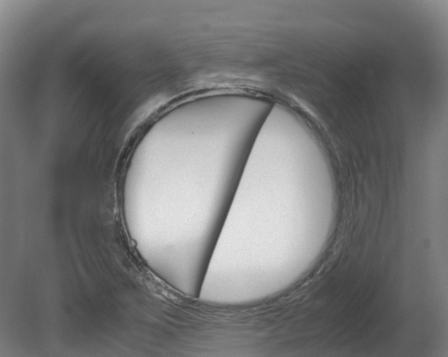 X0000078881267200611131044