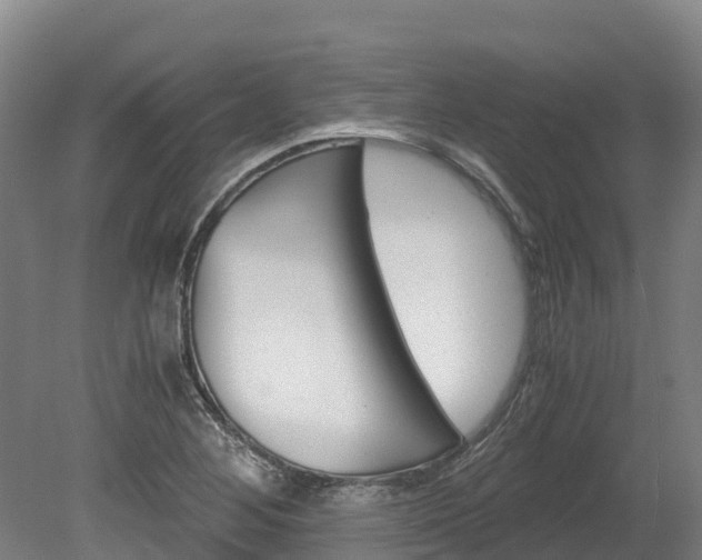 X0000078881268200611131044
